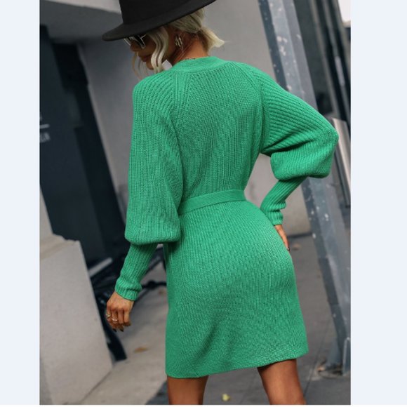 Rib-Knit Lantern Sleeve Belted Sweater Dress - Picture 13 of 16